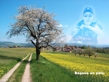 Copyright AllezSedan.com : 
