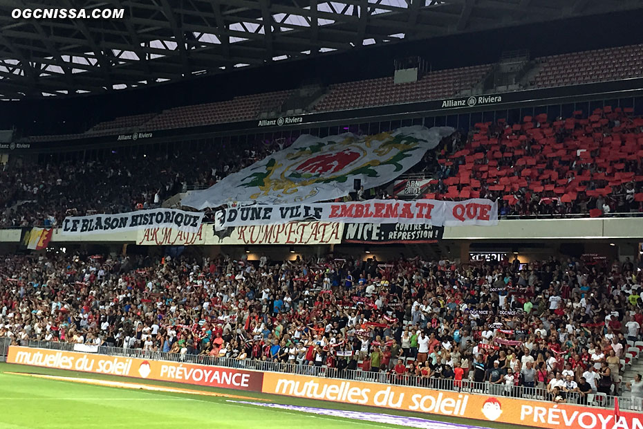 Tifo de l'ARN