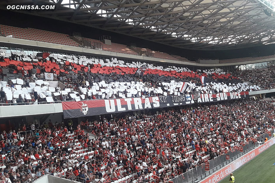 Tifo de la BSN