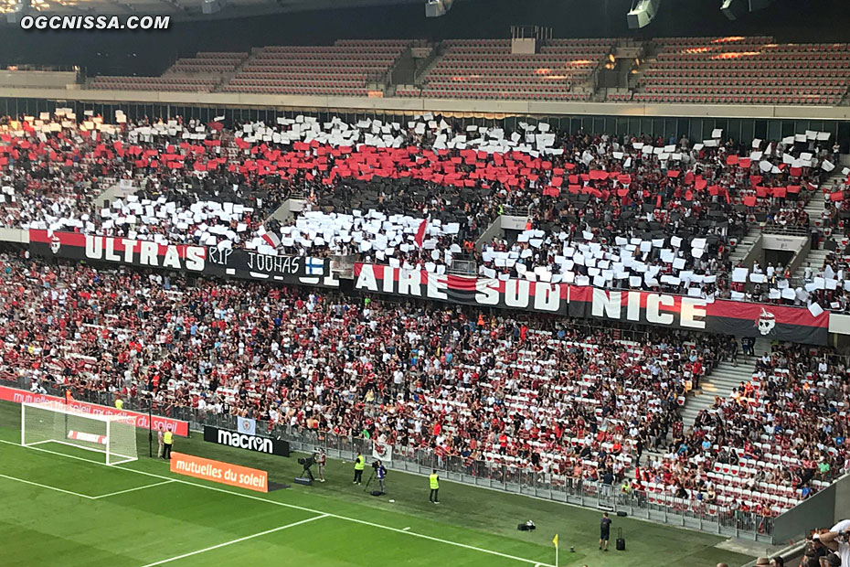 Tifo de la BSN