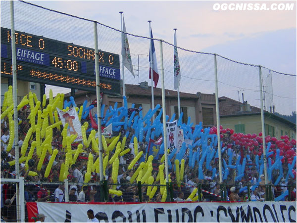 Tifo de la BSN