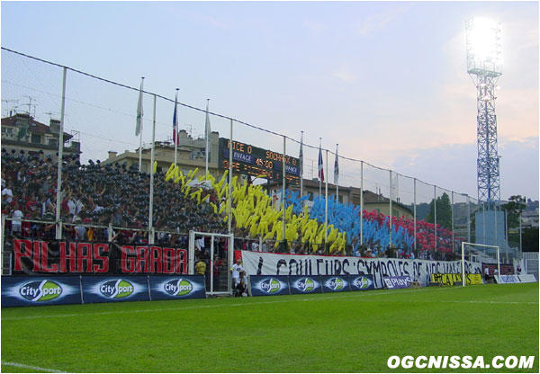 Tifo de la BSN