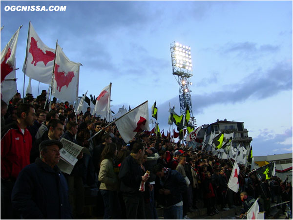 Tifo de l'ARN