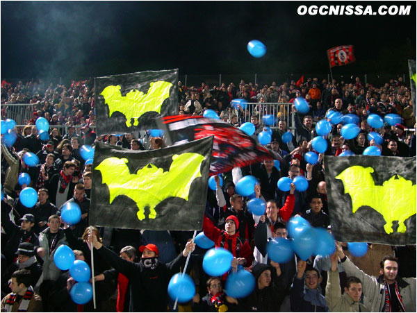 Tifo de l'ARN