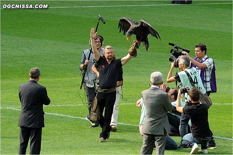 Un aigle amène les clés du stade