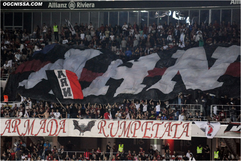 Tifo de l'ARN