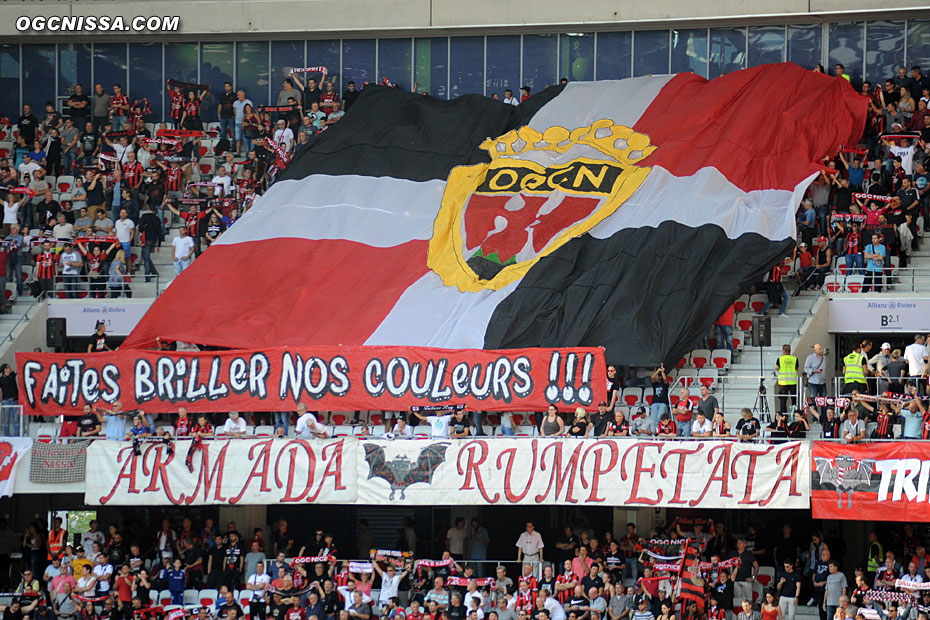 Tifo de l'ARN