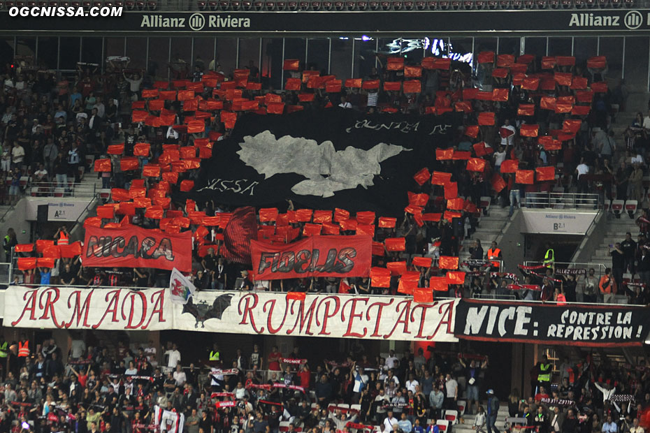 Tifo de l'ARN