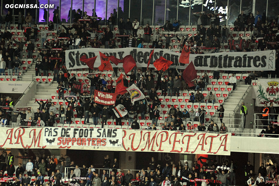 Tifo de l'ARN