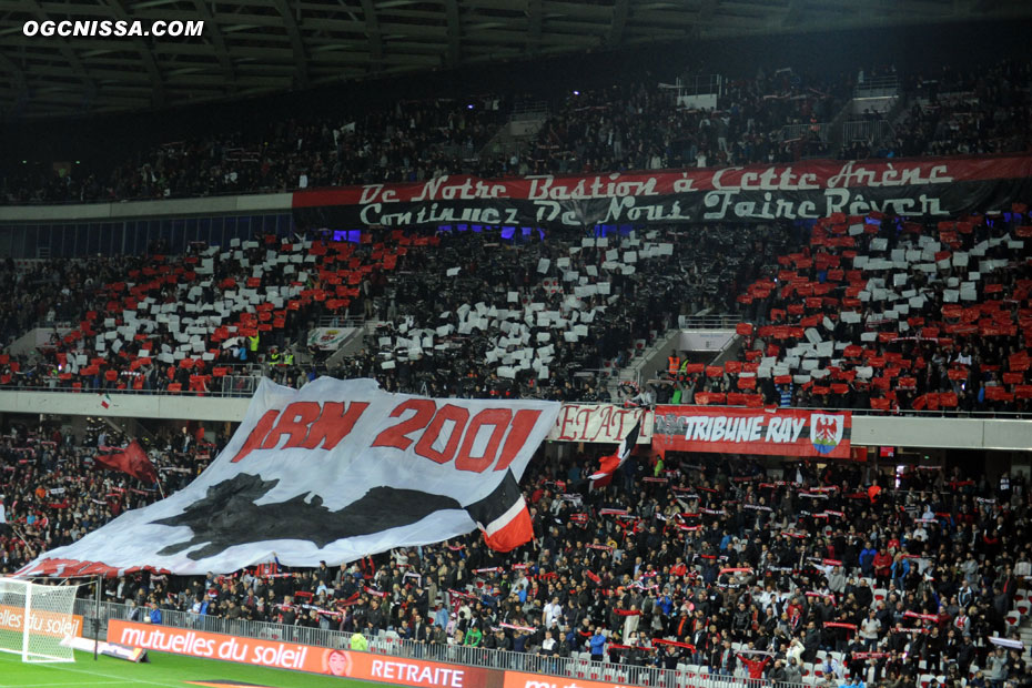 Tifo de l'ARN