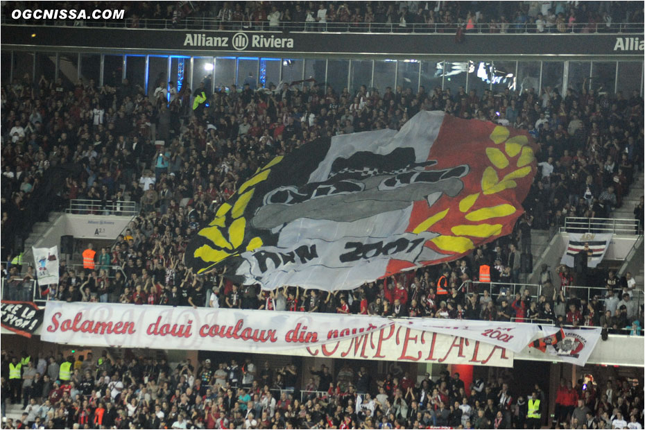 Tifo de l'ARN