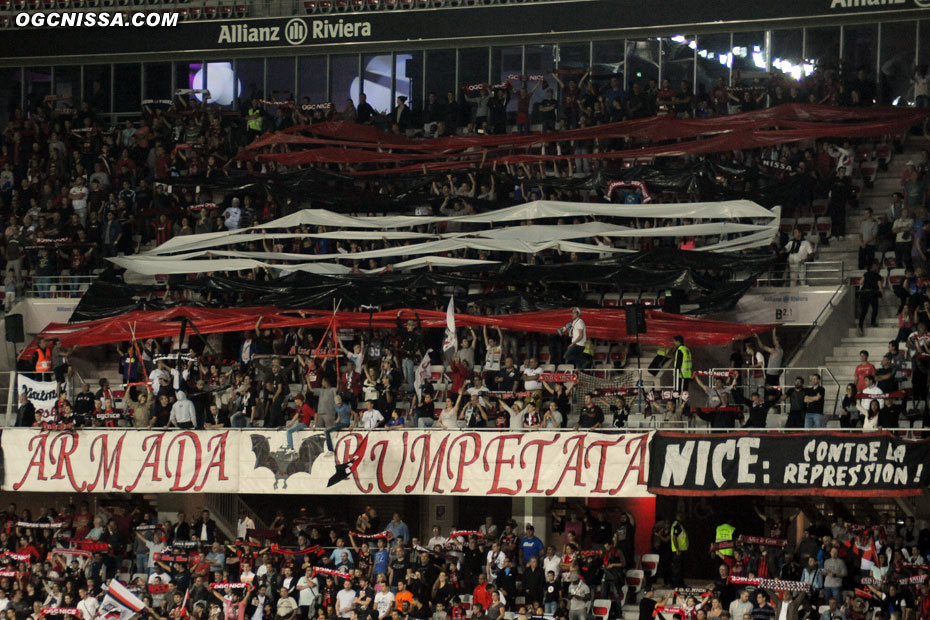 Tifo de l'ARN