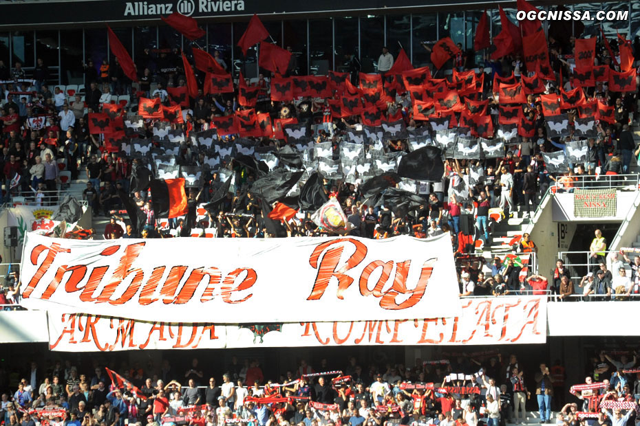 Tifo de l'ARN