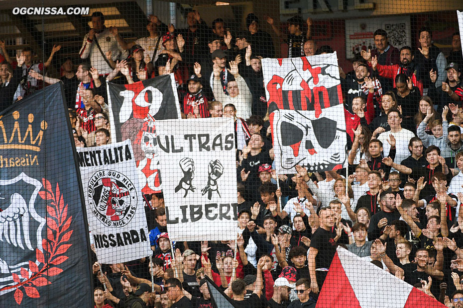 Tifo de la BSN