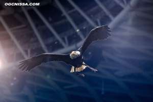 17e journée : Nice - Strasbourg