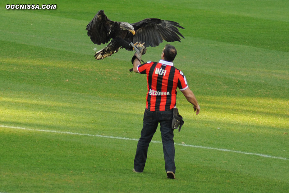 L'Aigle Mefi