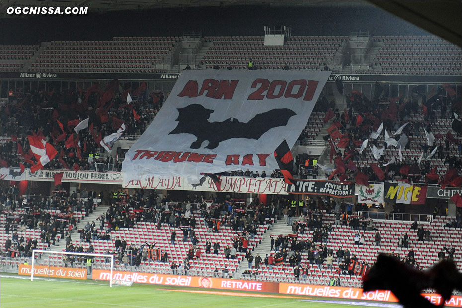 Tifo de l'ARN