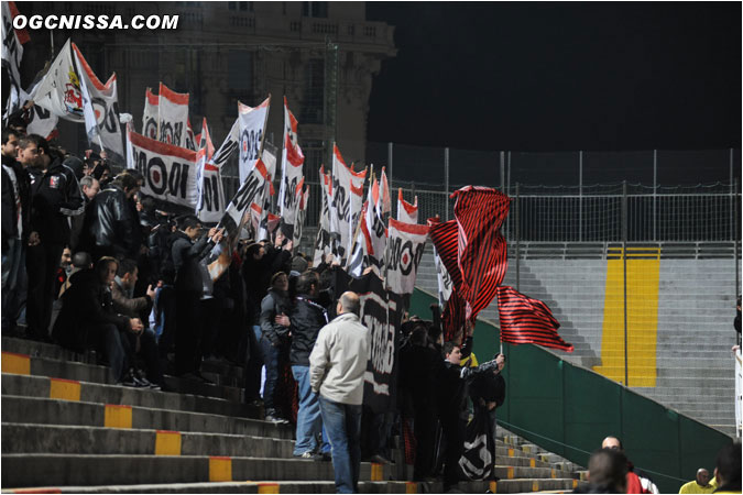 Tifo de l'ARN