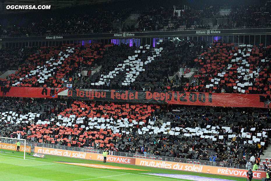 Tifo de l'ARN