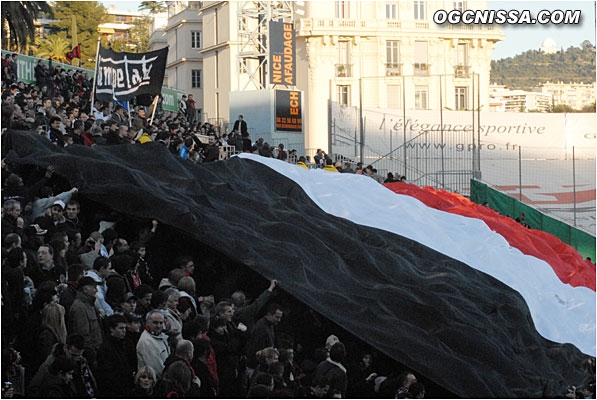 Tifo de l'ARN