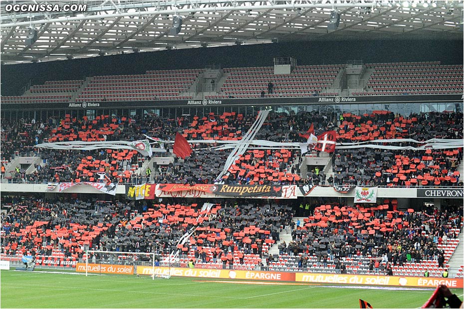 Tifo de l'ARN