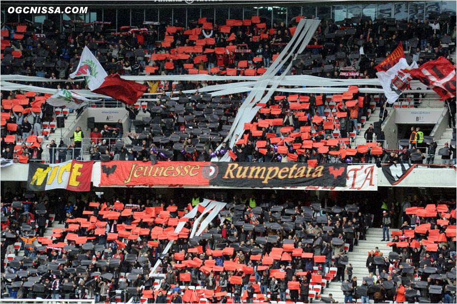 Tifo de l'ARN