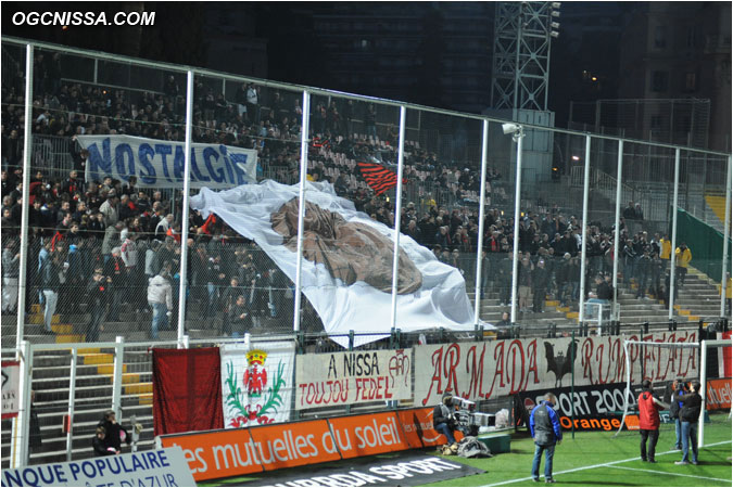 Tifo de l'ARN