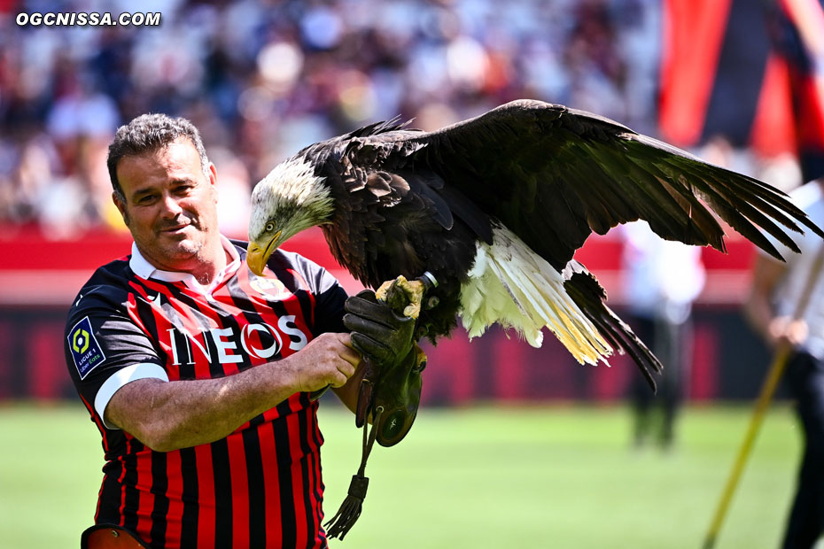 L'Aigle Mefi avant le coup d'envoi