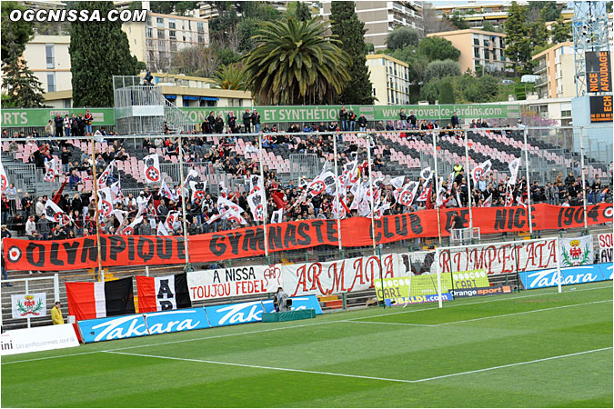 Tifo de l'ARN