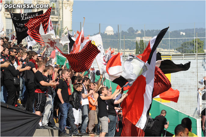 Tifo de l'ARN