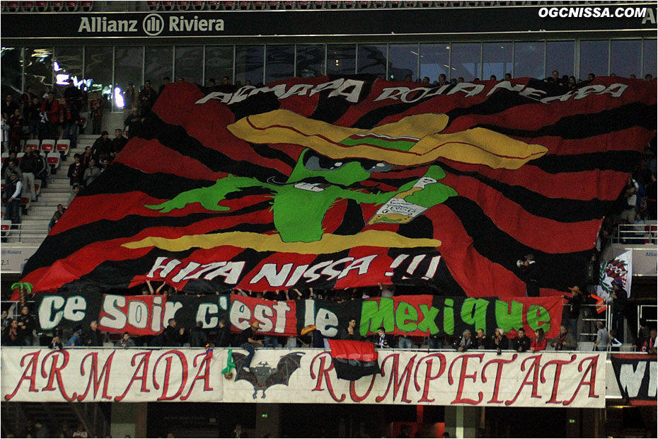 Tifo de l'ARN