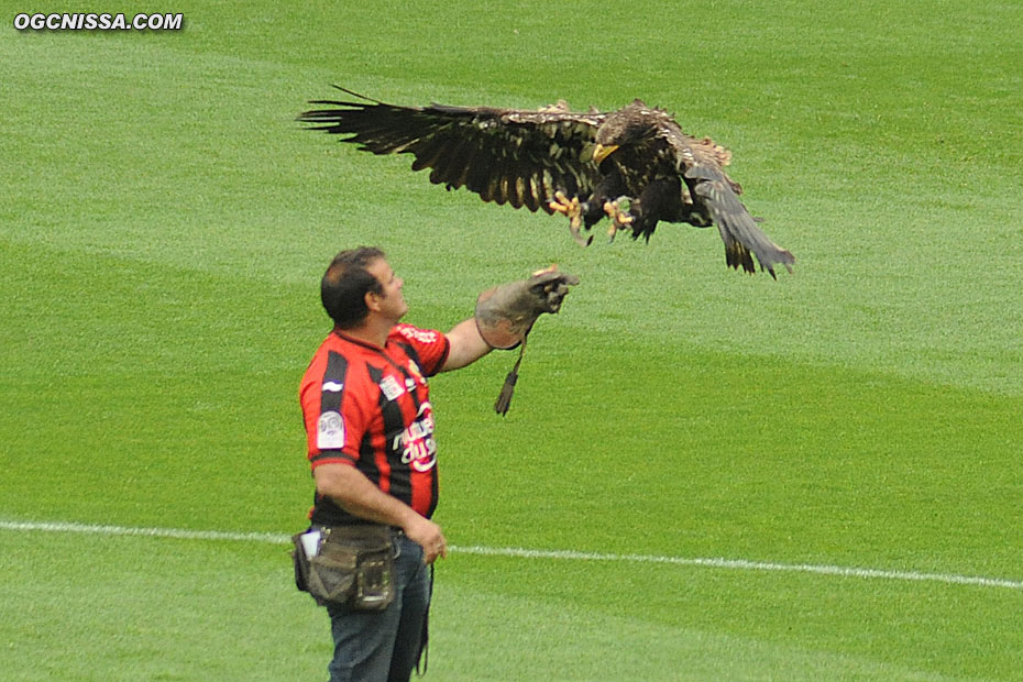 L'Aigle Méfi ouvre les débats