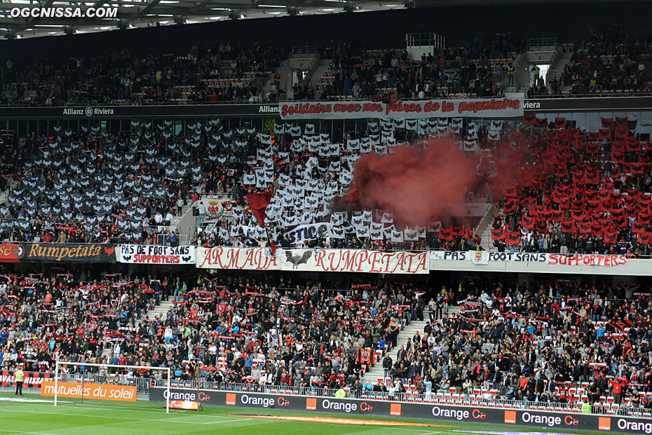 Tifo de l'ARN