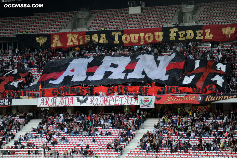 Tifo de l'ARN