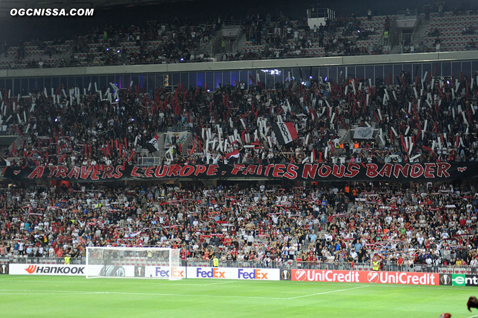 Tifo de l'ARN