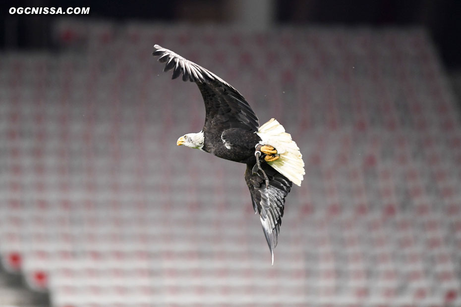 L'Aigle Méfi