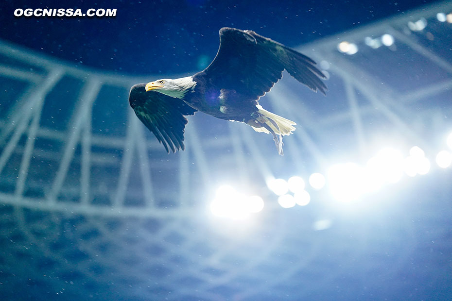 Duel d'Aigles avec Mefi coté niçois pour cette 7e journée d'Europa League contre Go Ahead Eagles