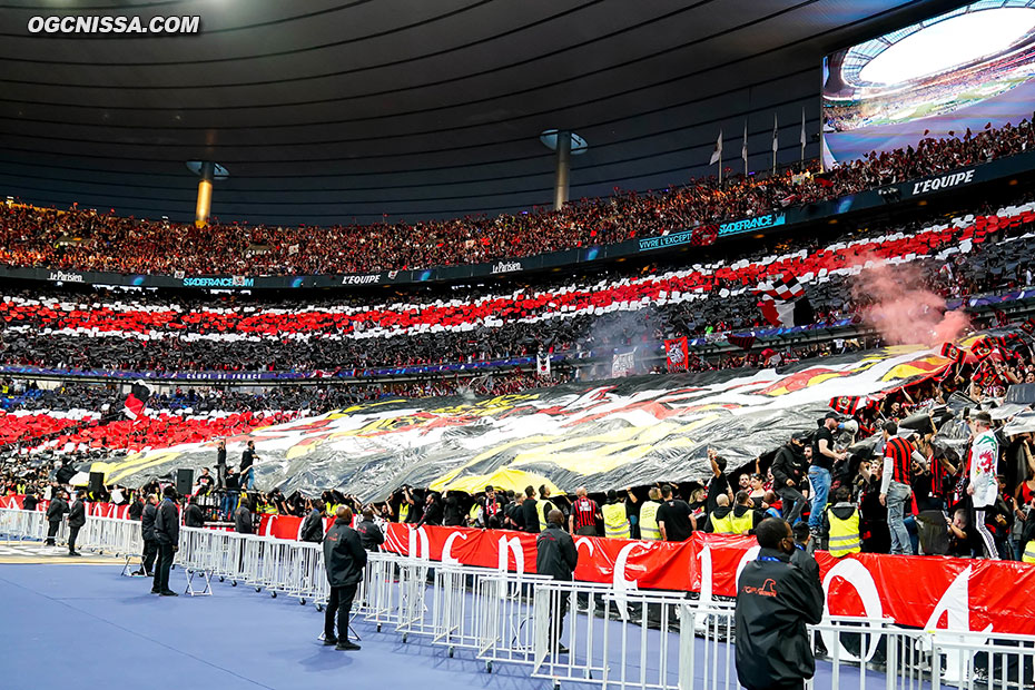 Tifo de la BSN